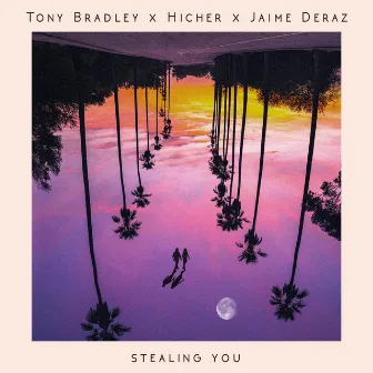 Stealing You by Tony Bradley