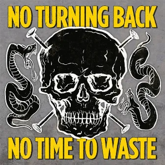 No Time to Waste by No Turning Back