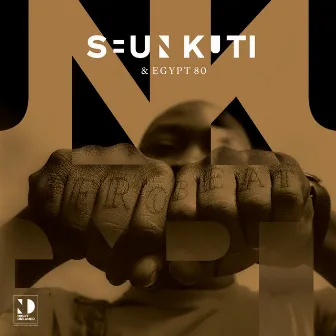 Seun Kuti & Egypt 80 (Night Dreamer Direct-To-Disc Sessions) by Seun Kuti