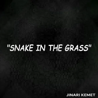 Snake In The Grass by Jinari Kemet