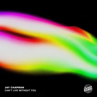 Can’t Live Without You by Jay Chapman