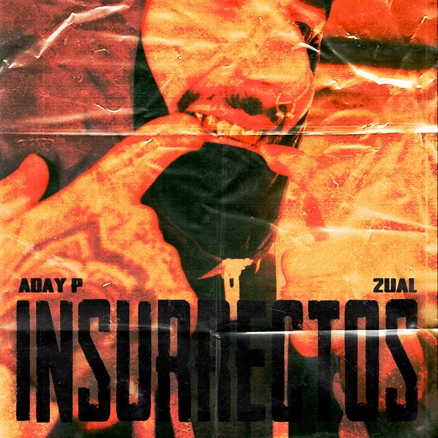 Insurrectos