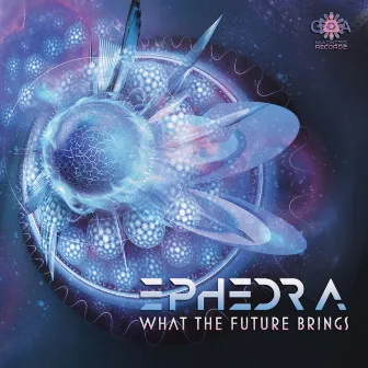 What The Future Brings by Ephedra