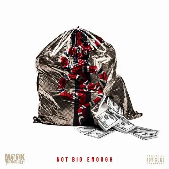 Not Big Enough by Mook Skywalker