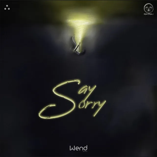 Say Sorry