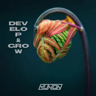 develop & grow by RunOn