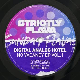 No Vacancy, Vol. 1 by Digital Analog Hotel