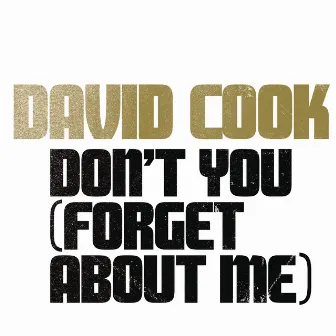 Don't You (Forget About Me) by David Cook