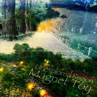 Unexplored Region by Magnet Toy