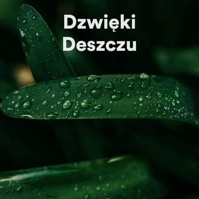 Spokojny letni deszcz