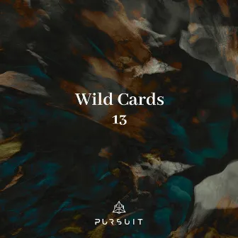 Wild Cards 13 by Alex Macris