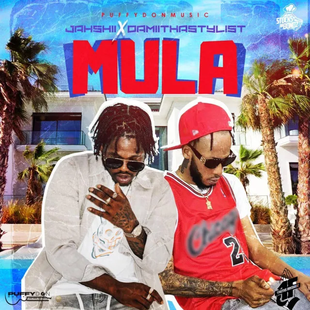 Mula