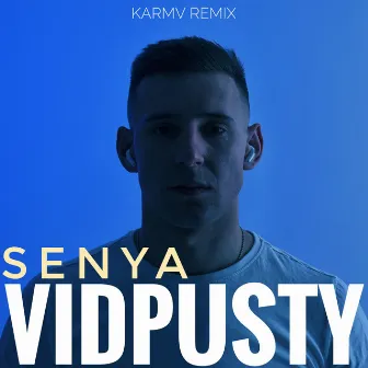 Vidpusty (Karmv Remix) by senya