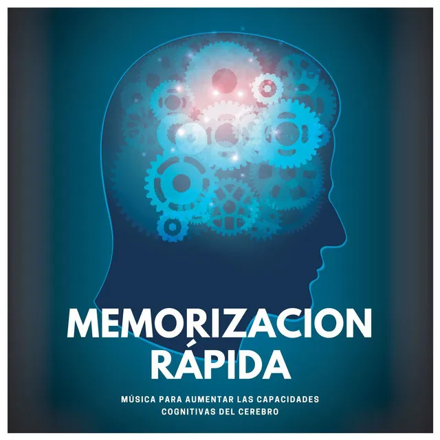 Memoria Batería