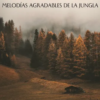 Melodías Agradables De La Jungla by 