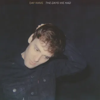 The Days We Had by Day Wave