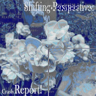 Crash Report by Shifting Perspectives