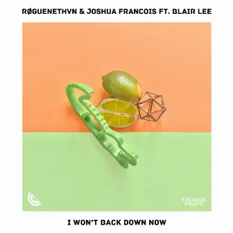 I Won't Back Down Now (feat. Blair Lee) by Joshua Francois