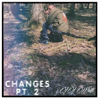 Changes Pt. 2 by J.J. Wølfe