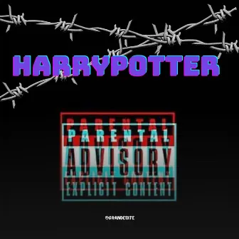 Harrypotter by Yanni Antonucci