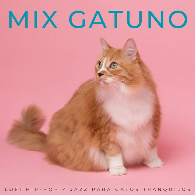 Mix Gatuno: Lofi Hip-Hop Y Jazz Para Gatos Tranquilos