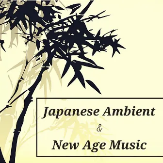 Japanese Ambient & New Age Music - 80's Synth, Relaxing Music by Japanese Traditional Music Ensemble