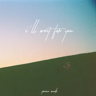 I'll Wait For You by Prince Woods