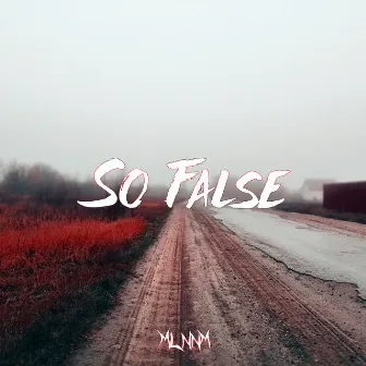 So False by MLNNM