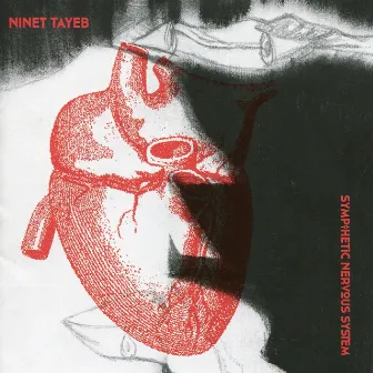 Sympathetic Nervous System by Ninet Tayeb