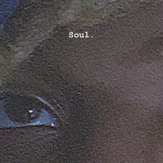 soul. by Joe Pari$