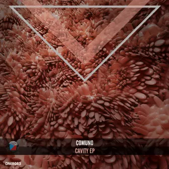 Cavity EP by Comuno