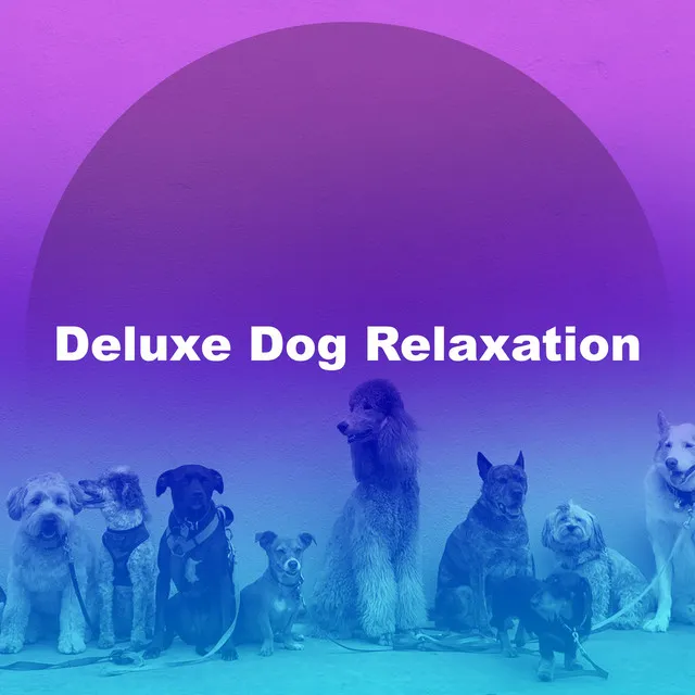 Deluxe Dog Relaxation