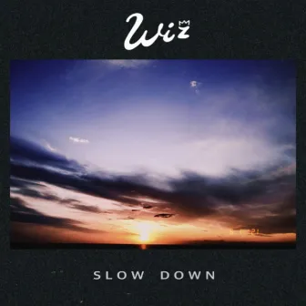 Slow Down by Wiz