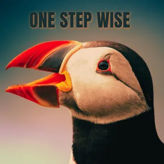 One Step Wise by Guy Bennett