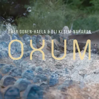 Oxum by Omer Gonen-Haela