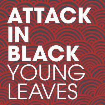 Young Leaves by Attack in Black