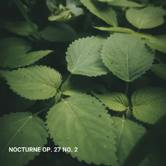 Nocturne Op. 27 No. 2 by Mario Soliti