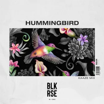 Hummingbird (KAAZE Mix) by BLK RSE