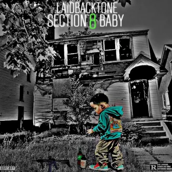 SECTION 8 BABY by Laidbacktone