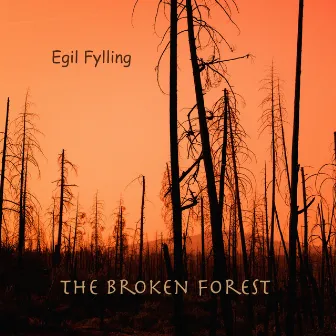 The Broken Forest by Egil Fylling