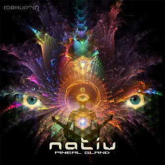 Pineal Gland by Nativ