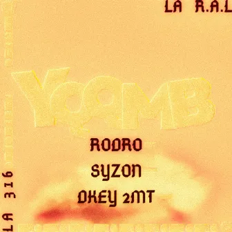 Yqqmb by Syzon