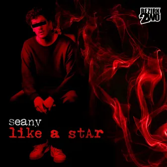 Like a Star by Seany