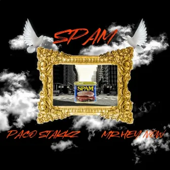 Spam by Paco Stakkz