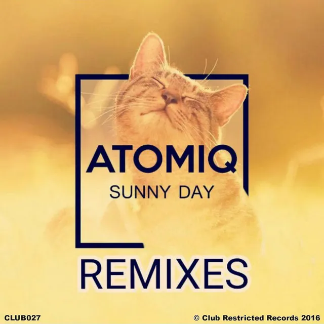 Sunny Day - Peex Remix