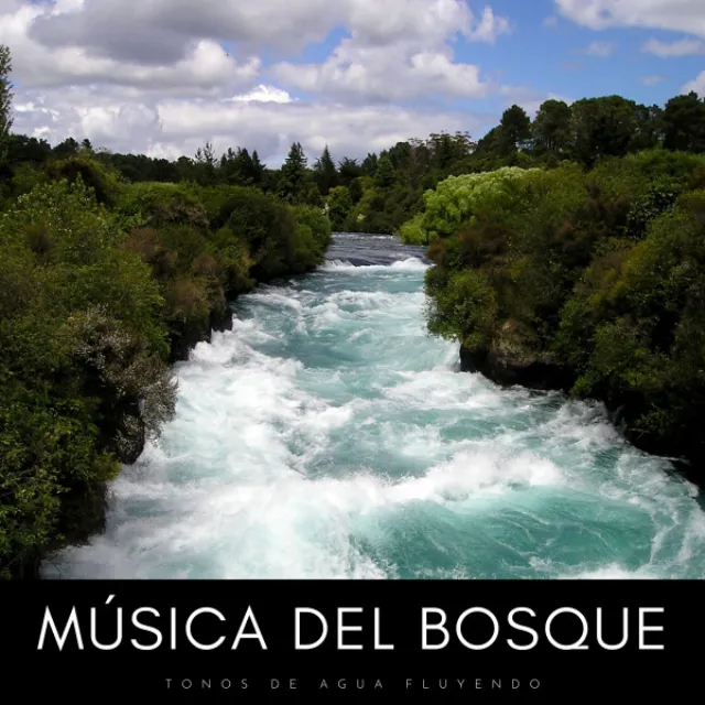 Música Del Bosque: Tonos De Agua Fluyendo