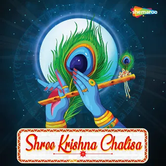 Shree Krishna Chalisa by Ashwani Kumar