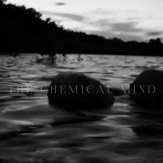 The Chemical Mind - EP by The Chemical Mind