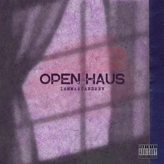 Open Haus by Unknown Artist