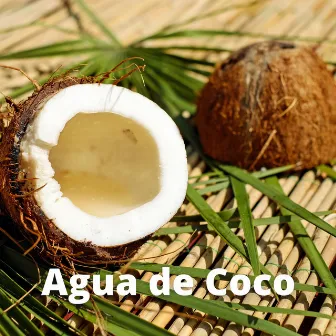 Agua de Coco by Grupo Nicoya